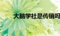 大脑学社是传销吗（大脑学院简介）