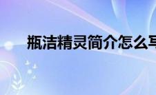 瓶洁精灵简介怎么写（瓶洁精灵简介）