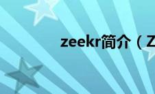 zeekr简介（ZMaker简介）