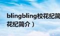 blingbling校花纪简介概括（blingbling校花纪简介）