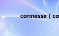 connesse（consignee简介）