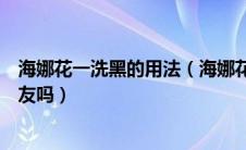 海娜花一洗黑的用法（海娜花一洗黑是不是真的有用过的朋友吗）