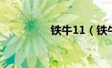 铁牛11（铁牛重现简介）