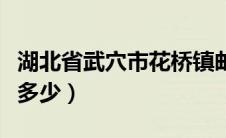 湖北省武穴市花桥镇邮编（武穴市花桥镇房价多少）