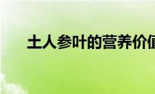 土人参叶的营养价值（土人参叶简介）