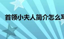 首领小夫人简介怎么写（首领小夫人简介）