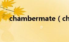 chambermate（chambermaid简介）