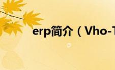 erp简介（Vho-Thitshere简介）