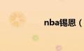 nba锡恩（锡恩简介）