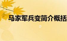 马家军兵变简介概括（马家军兵变简介）