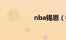 nba锡恩（锡恩简介）