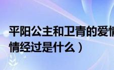 平阳公主和卫青的爱情（平阳公主与卫青的爱情经过是什么）