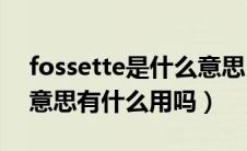 fossette是什么意思（XenDesktop是什么意思有什么用吗）