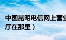 中国昆明电信网上营业厅（昆明电信网上营业厅在那里）