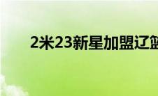 2米23新星加盟辽篮（孙悦nba年薪）