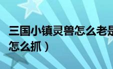 三国小镇灵兽怎么老是得不到（三国小镇灵兽怎么抓）