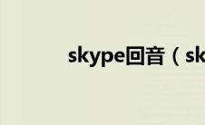 skype回音（skype回拨简介）