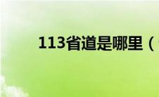 113省道是哪里（省道113线简介）