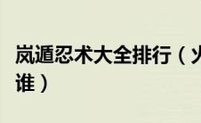 岚遁忍术大全排行（火影忍者里岚遁使用者是谁）