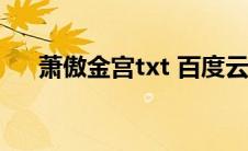 萧傲金宫txt 百度云（箫傲金宫1简介）