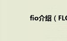 fio介绍（FLOGOS简介）