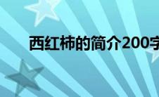 西红柿的简介200字（西红柿门简介）