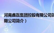 河南鑫磊集团控股有限公司简介电话（河南鑫磊集团控股有限公司简介）