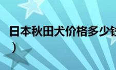 日本秋田犬价格多少钱一只（日本秋田犬简介）