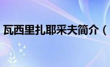 瓦西里扎耶采夫简介（瓦西里扎伊采夫简介）