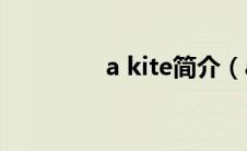 a kite简介（aback简介）