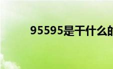 95595是干什么的（95595简介）