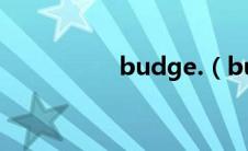 budge.（budge简介）