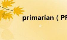 primarian（PRIMARK简介）