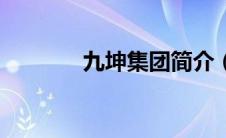 九坤集团简介（九坤贷简介）