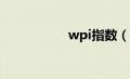 wpi指数（WPI简介）