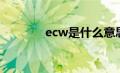 ecw是什么意思（ecw简介）