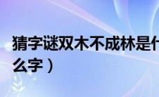 猜字谜双木不成林是什么字（双木不成林是什么字）