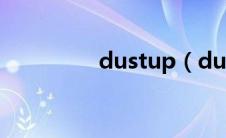 dustup（dustpan简介）