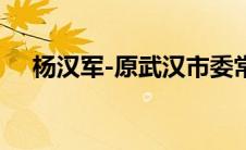 杨汉军-原武汉市委常委、组织部长简介