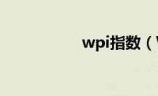 wpi指数（WPI简介）