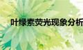 叶绿素荧光现象分析（叶绿素荧光简介）