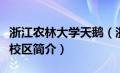 浙江农林大学天鹅（浙江农林大学天目学院新校区简介）