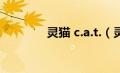 灵猫 c.a.t.（灵猫六国简介）