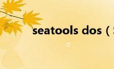 seatools dos（SeaTools简介）