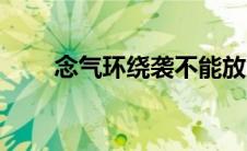 念气环绕袭不能放（念气环绕简介）