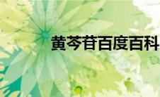 黄芩苷百度百科（黄芩甙简介）