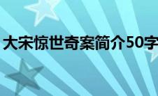 大宋惊世奇案简介50字（大宋惊世奇案简介）