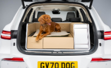 GENESISXDOG CONCEPT为您的爱犬提供旅行前旅行中和旅行后所需的一切奢华享受