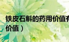 铁皮石斛的药用价值有哪些（铁皮石斛的药用价值）