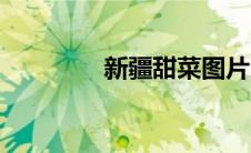 新疆甜菜图片（甜菜图片）